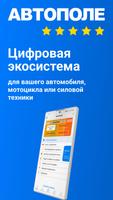 Автополе Affiche