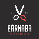 Мужская парикмахерская BARNABA icono