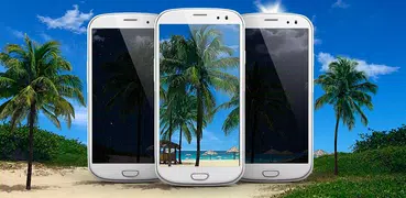 Seashore Palms Live Wallpaper