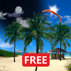 Seashore Palms Live Wallpaper أيقونة