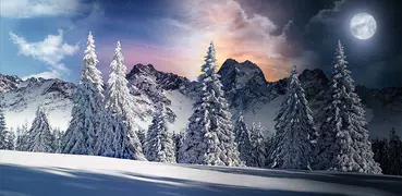 Christmas Snow Live Wallpaper