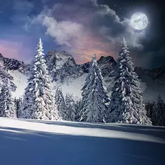 Christmas Snow Live Wallpaper APK download