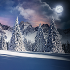 آیکون‌ Christmas Snow Live Wallpaper