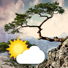 Realistic Weather All Seasons  icono