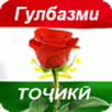 Гулбазми точики APK