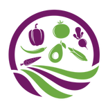 Красивая грядка