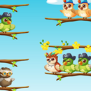Сортируй птиц APK