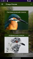 Птицы России Affiche