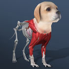 Idle Pet أيقونة