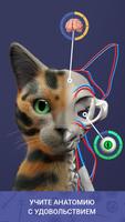 Idle Pet скриншот 1