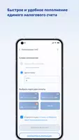 Личный кабинет предпринимателя captura de pantalla 6