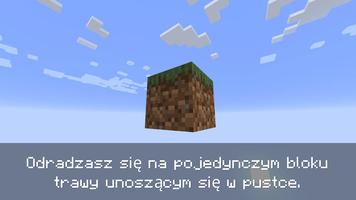 Jeden blok w Minecraft plakat