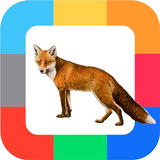 Развивающие карточки Животные icon