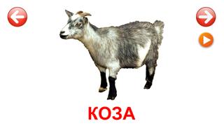Развивающие карточки Животные ภาพหน้าจอ 2