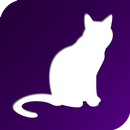 Породы кошек. Справочник пород APK
