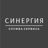 Синергия आइकन