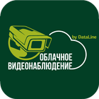 DataLine Облачное видеонаблюдение-icoon