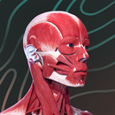 Easy Anatomy 3D APK