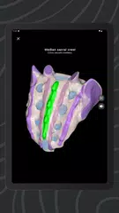 Easy Anatomy 3D アプリダウンロード