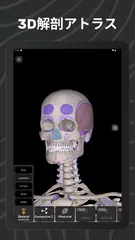 Easy Anatomy 3D アプリダウンロード