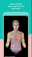 Easy Anatomy syot layar 2