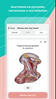 Easy anatomy. Medizin atlas Screenshot 3