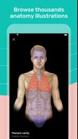 Easy anatomy. Medical atlas screenshot 2