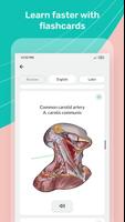 Easy anatomy. Medical atlas screenshot 3