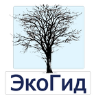 EcoGuide: Trees in Winter icon
