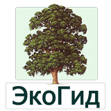 EcoGuide: Trees in Summer APK
