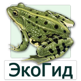 EcoGuide: Russian Amphibians