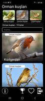 Kuşlar için ses tuzakları Ekran Görüntüsü 2