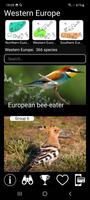 Birds of Europe syot layar 1