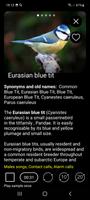 Birds of Europe اسکرین شاٹ 3