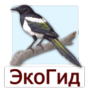 ЭкоГид: Птицы средней полосы aplikacja