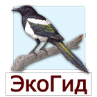 ЭкоГид: Птицы средней полосы 圖標