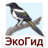 EcoGuide: Russian Birds