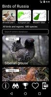 Birds of Russia Affiche