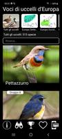 Poster Voci di uccelli d'Europa