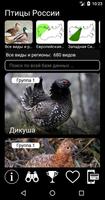 Голоса птиц России постер