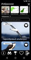 Голоса птиц России скриншот 1