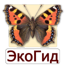 ЭкоГид: Дневные бабочки aplikacja