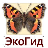 EcoGuide: Russian Butterflies