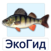 EcoGuide: Russian Wild Fish APK