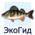 ЭкоГид: Рыбы России آئیکن