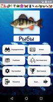 ЭкоГид: Рыбы России پوسٹر