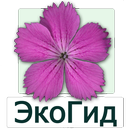 ЭкоГид: Цветы – Определитель aplikacja