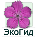 EcoGuide: Russian Wild Flowers APK