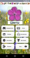 ЭкоГид: Цветы – Определитель Plakat