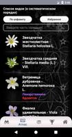ЭкоГид: Цветы – Определитель Ekran Görüntüsü 2